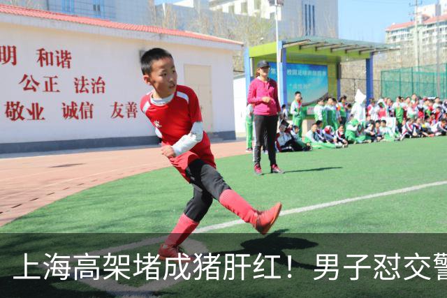 上海高架堵成猪肝红！男子怼交警:不能算我开车