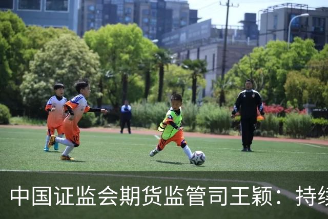 中国证监会期货监管司王颖：持续优化品种布局、丰富交易工具、完善制度规则