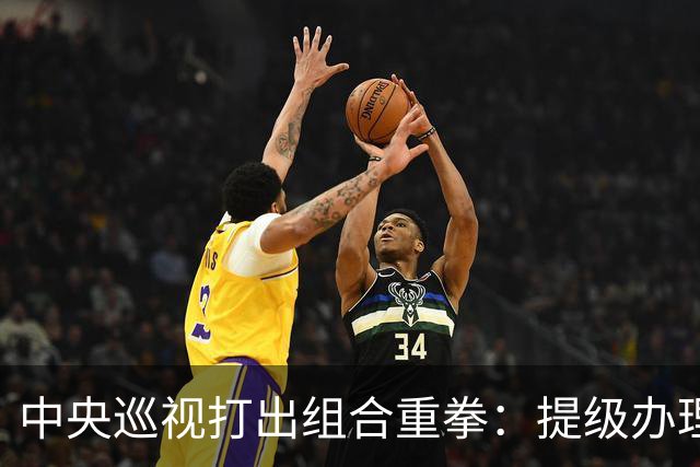 中央巡视打出组合重拳：提级办理深挖保护伞，查到线索再也捂不住