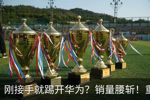 刚接手就踢开华为？销量腰斩！重庆父子这波操作亏大了