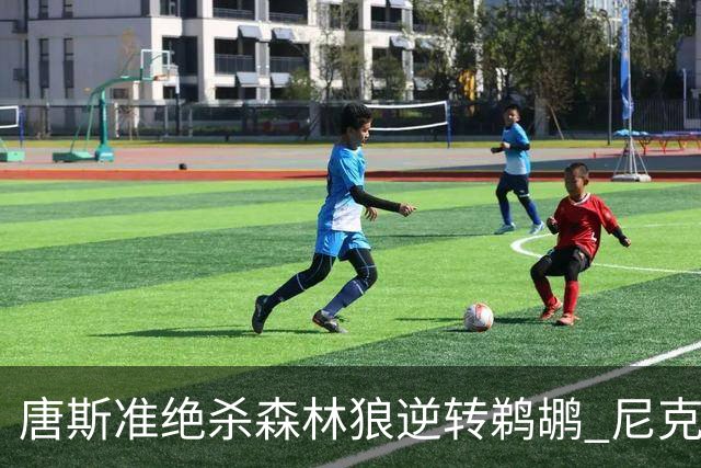 唐斯准绝杀森林狼逆转鹈鹕 尼克斯送黄蜂4连败
