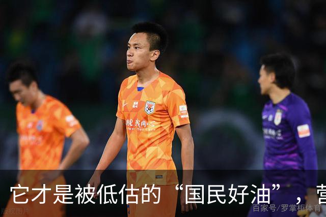 它才是被低估的“国民好油”，营养远超想象！可惜很多人不知道