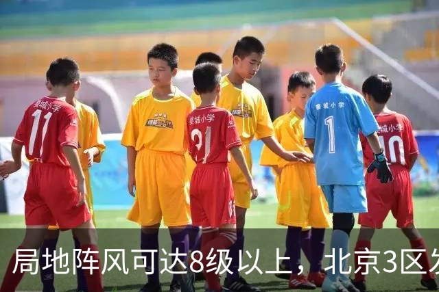 局地阵风可达8级以上，北京3区发布大风蓝色预警