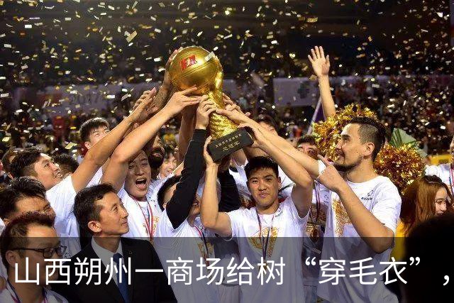 山西朔州一商场给树“穿毛衣”，形态各异的猫咪造型引市民打卡拍照：很可爱，也感觉到这座城市的温暖