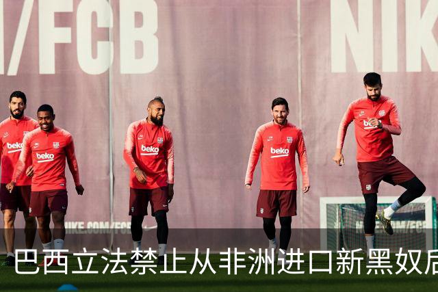 巴西立法禁止从非洲进口新黑奴后，有个庄园主突发奇想，找了个强壮的黑人，给他配了100个老婆，好吃好喝养着，唯一的任务就是造娃