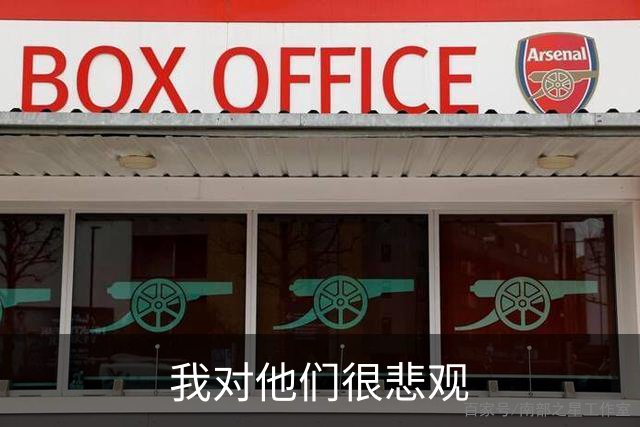 我对他们很悲观