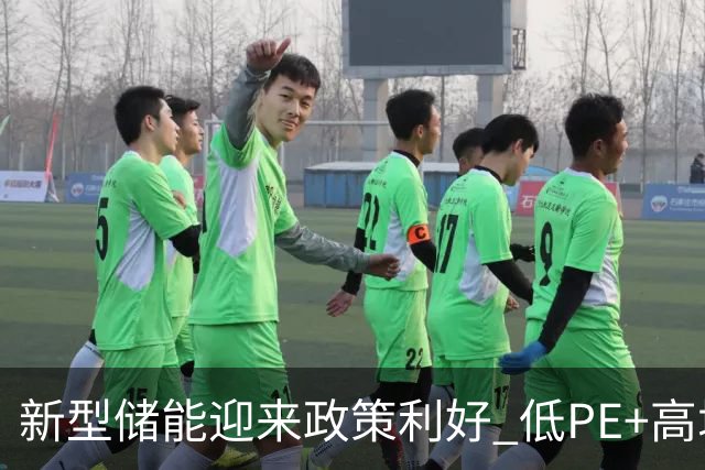新型储能迎来政策利好 低PE+高增长潜力股出炉