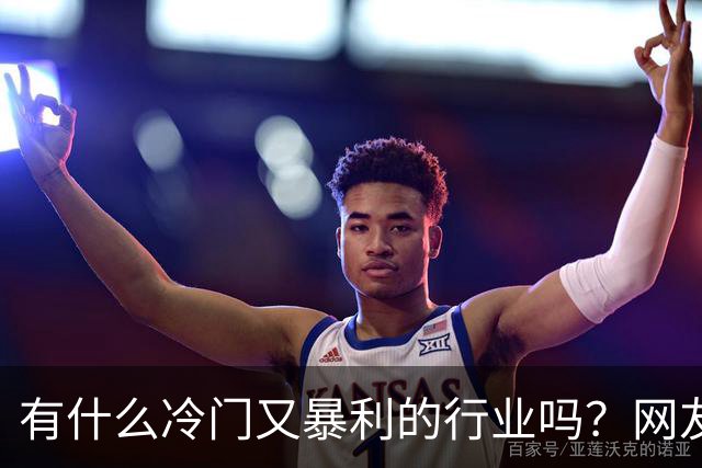 有什么冷门又暴利的行业吗？网友：通马桶的
