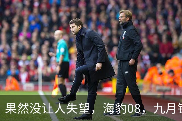 果然没让人失望，海豹08，九月销量10626台