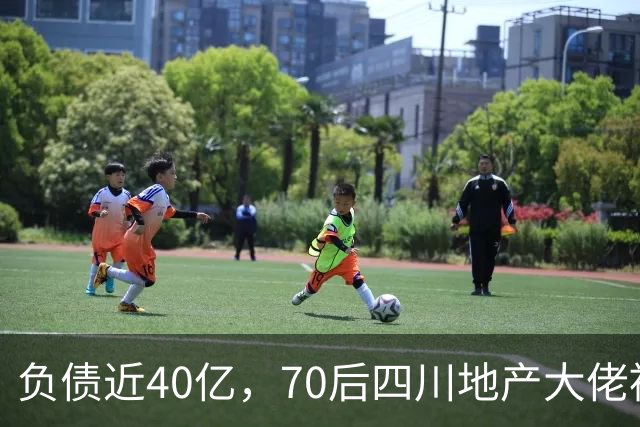 负债近40亿，70后四川地产大佬被刑拘了