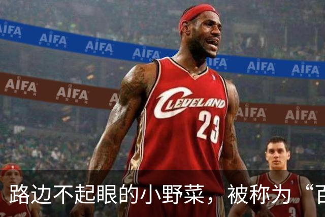 路边不起眼的小野菜，被称为“百菜之主”，易种易活，盆栽也爆盆