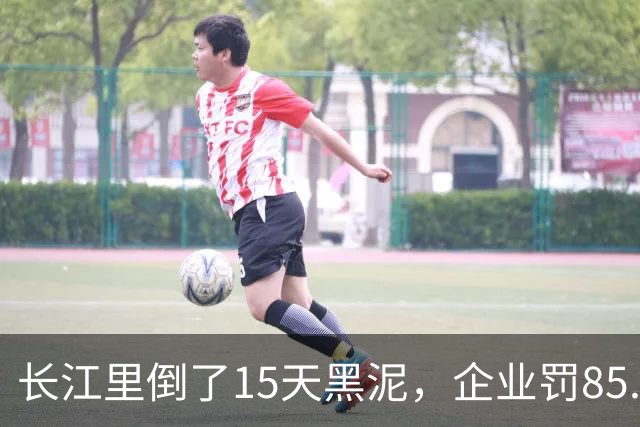 长江里倒了15天黑泥，企业罚85.7万：这笔账，网友越算越不明白