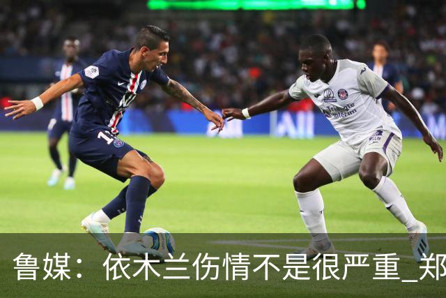 鲁媒：依木兰伤情不是很严重 郑铮的未来要等手术后才能有结果