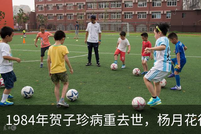 1984年贺子珍病重去世，杨月花得知后追问舅舅：两点令我难以理解？