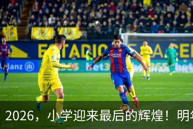 2026，小学迎来最后的辉煌！明年起生源持续下滑，教育要大变天