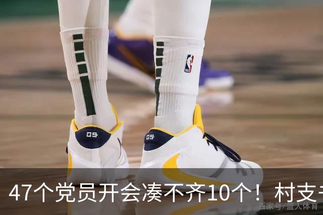 47个党员开会凑不齐10个！村支书坦言：不是人心散了，是人太分散
